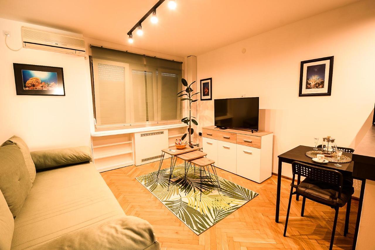 Apartment Petra 073 เบลเกรด ภายนอก รูปภาพ